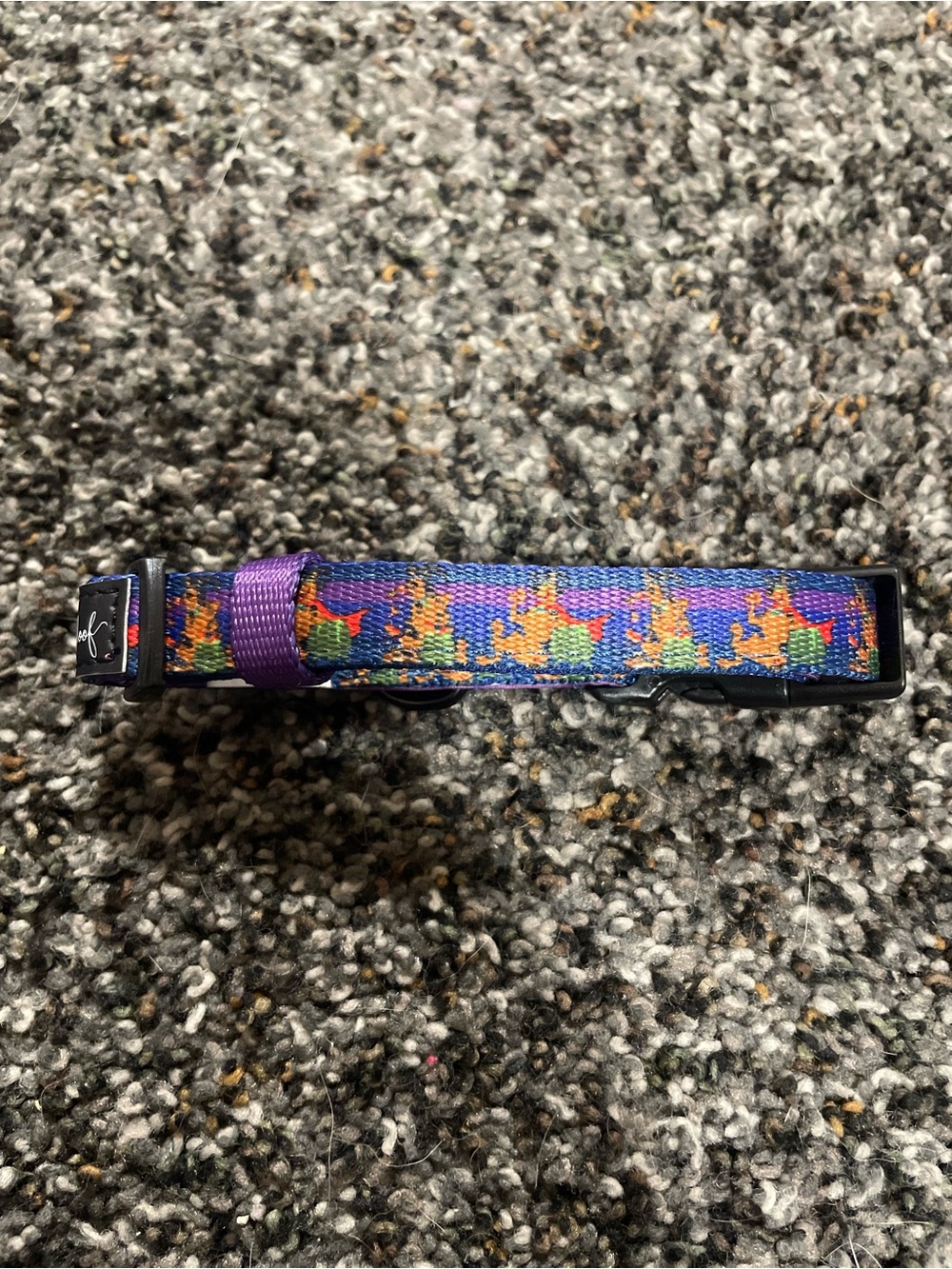 Halloween Scooby Doo Sassy Woof Collar